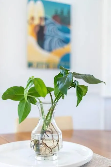 Stylish 1950S Moffat Beach House Villa Caloundra Holiday home